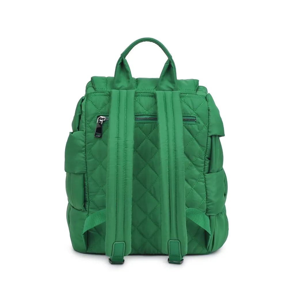 Perception Backpack